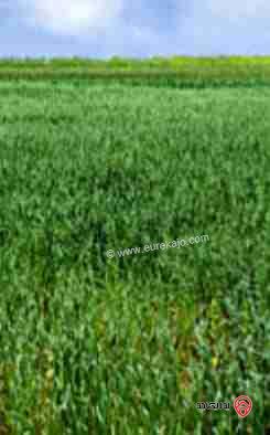 قطعة ارض مساحة 508م للبيع من أراضي جنوب عمان - ابوعلندا 