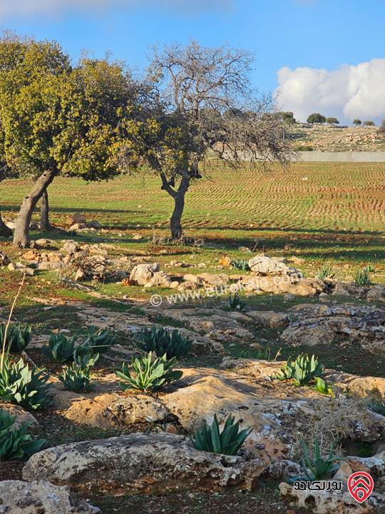  أراضي مميزة عدد 5 مساحة كل قطعة 3 دونم و 400م للبيع في ضاحية النابلسية – جلعد / السلط 