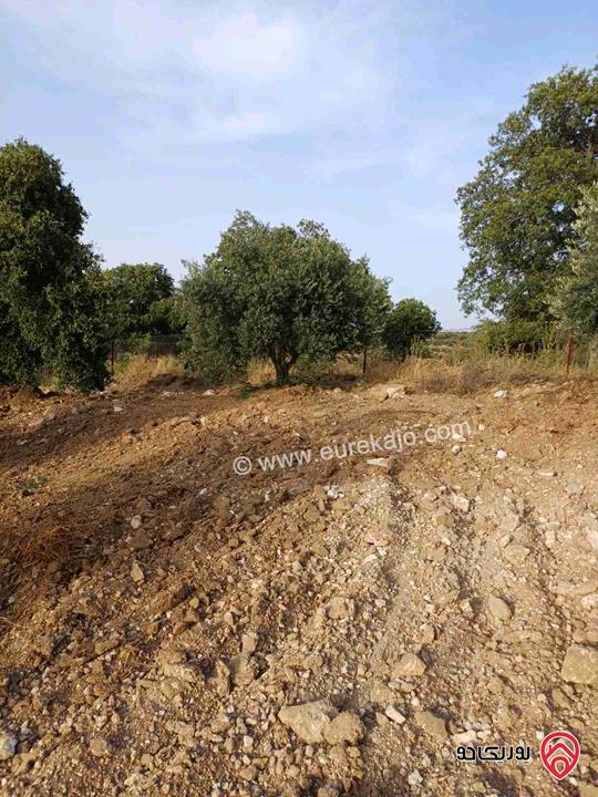 مزرعة مساحة 14 دونم للبيع في اربد - أراضي بني كنانة منطقة سمر