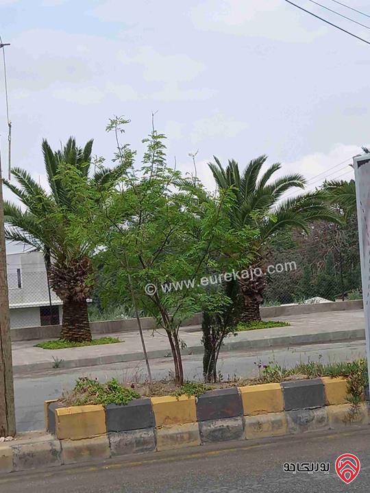 أرض مساحة  5 دونمات للبيع في البلقاء - ماحص