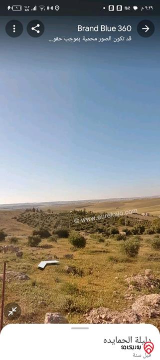 قطعة ارض مساحة 6 دونم مادبا - دليلة الحمايدة
