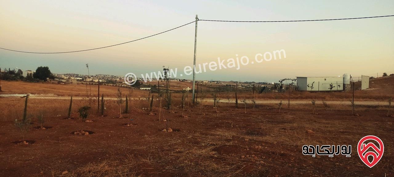 قطعة أرض مساحة 700م للبيع في المفرق