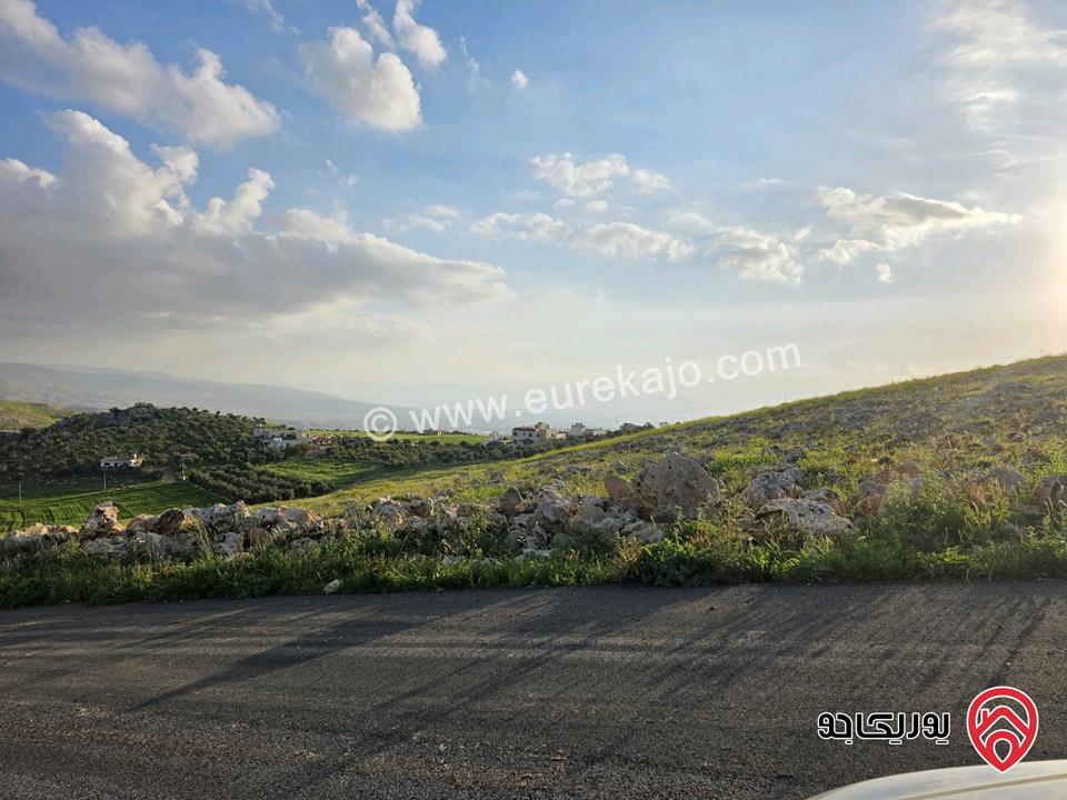ارض مساحة 2 دونم للبيع من أراضي غرب عمان - عراق الأمير