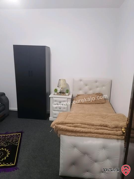 شقق مفروشة للايجار في اربد شارع الجامعة 