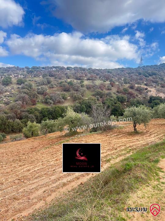 قطعة ارض مساحة 3 دونم و 400م مزروعة زيتون للبيع في السلط الديرة قرب زي 