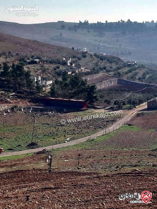 قطعة ارض زراعية مساحة 3 دونم و 400م للبيع في المفرق - عين والمعمرية