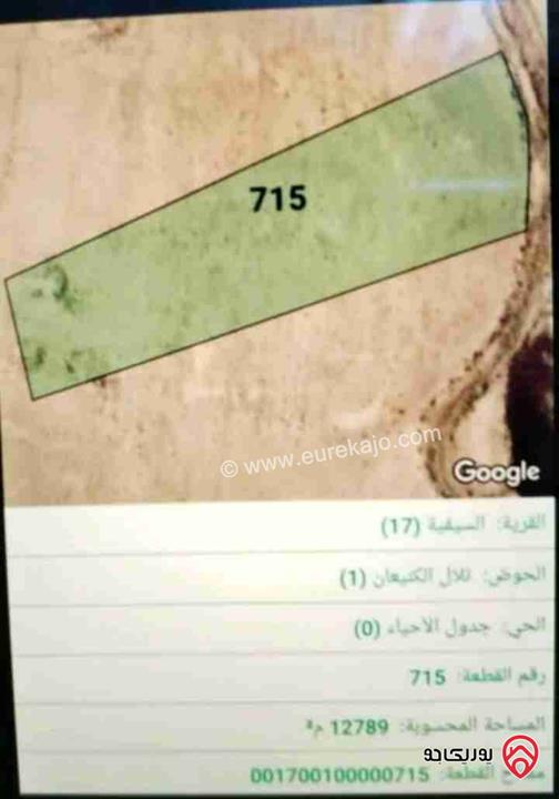 قطعة أرض مساحة 13 دونم للبيع من أراضي جنوب عمان - السيفية