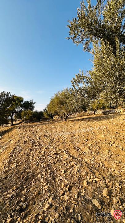 قطعة ارض مساحة 5 دونم و 856م للبيع في منطقة ماحص البلقاء منطقة قصور وفلل بجانب قصر الامير حسين ميرزا اطلالة غربية من المالك مباشرة 