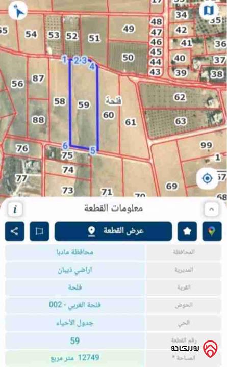 اراضي زراعية مفروزات واصلهم خدمات للبيع من المالك مباشرة في مادبا - ذيبان