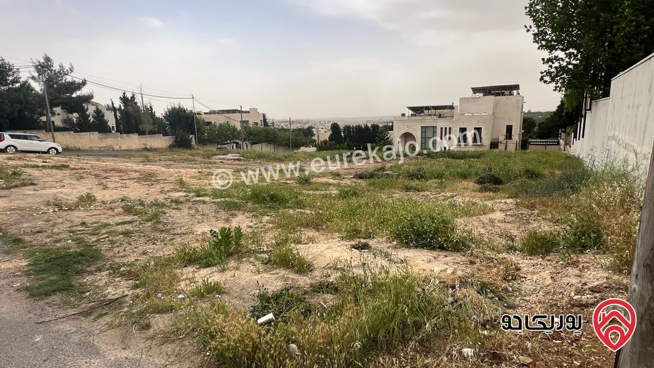قطعة أرض مساحة 2 دونم للبيع في عمان - دابوق 