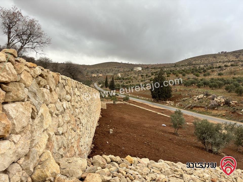 أرض مساحة 3 دونم و 400م للبيع في الزرقاء - صروت