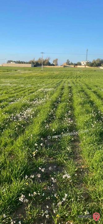 قطعة ارض مساحة 13 دونم للبيع في عمان - منجا
