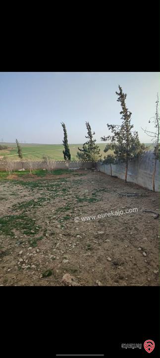 أرض مساحة 1 دونم و 420م للبيع في مادبا - ذيبان 