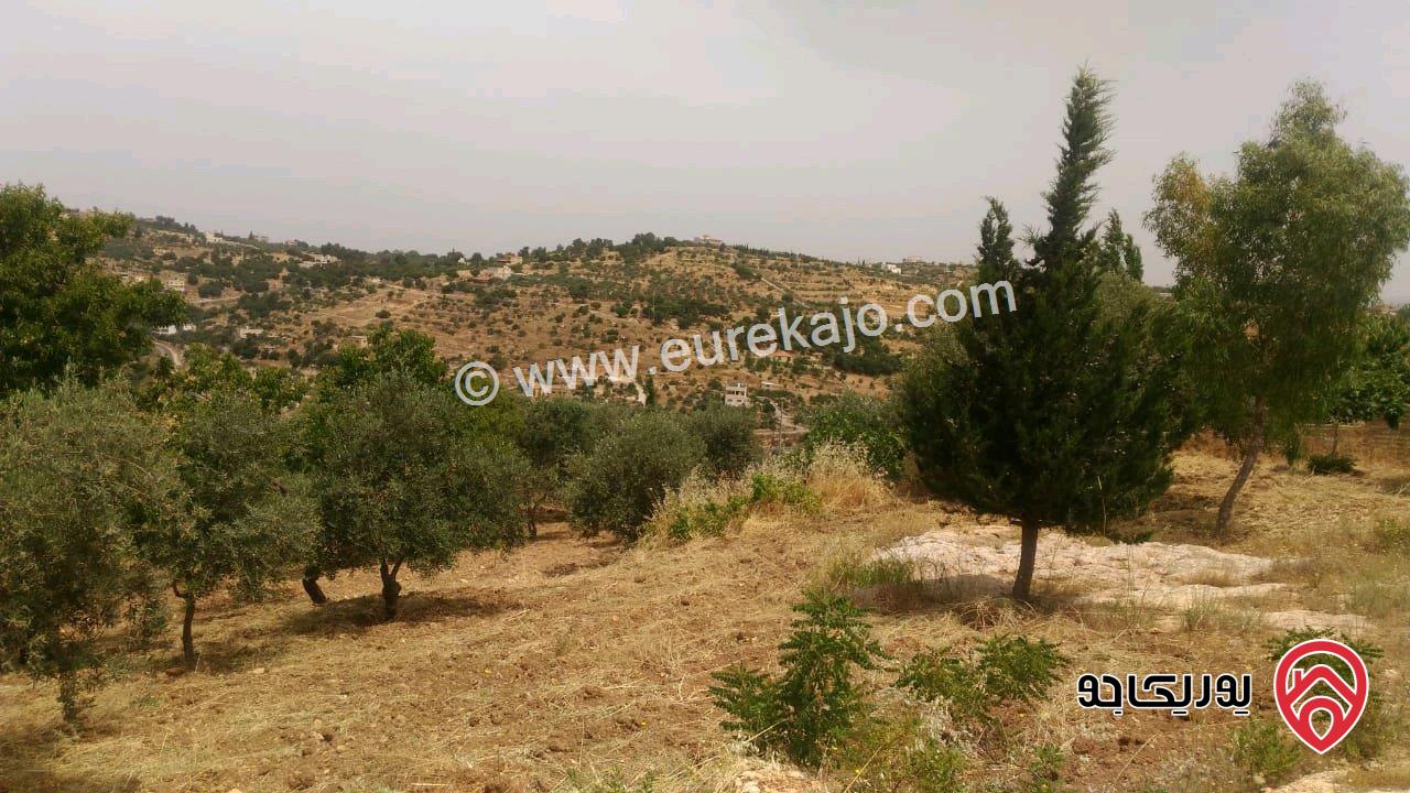 ارض مساحة 1693م للبيع في السلط - ام جوزة 