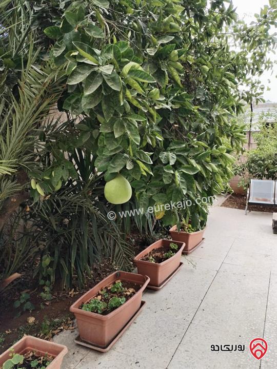 شقة تجارية للبيع أو للايجار مساحة 190م داخلي و 200م خارجي في جبل عمان / شارع الرينبو