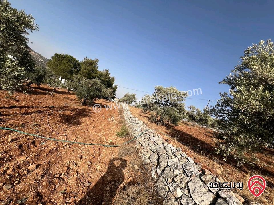 قطعة أرض ريفية مساحة 7 دونم للبيع في في جرش سوف حوض بيدر الحمص 