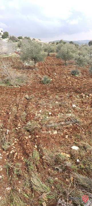 ارض مساحة 4 دونم للبيع في عجلون برقش