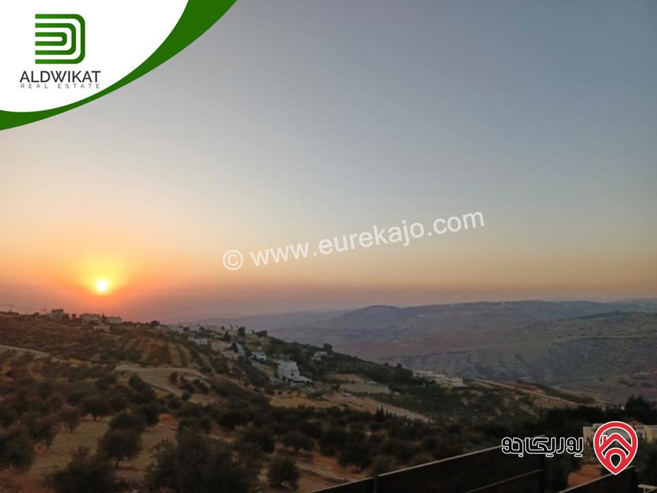 فيلا مستقلة مفروشة للبيع في عمان - ناعور مساحة الارض 1050م ومساحة البناء 1000م ومساحة الحديقة 400م ومساحة الترس 200م موقع اطلالة رائع ومميز