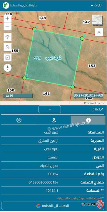 أرض مساحة 10 دونم تصلح للإستثمار للبيع في المفرق