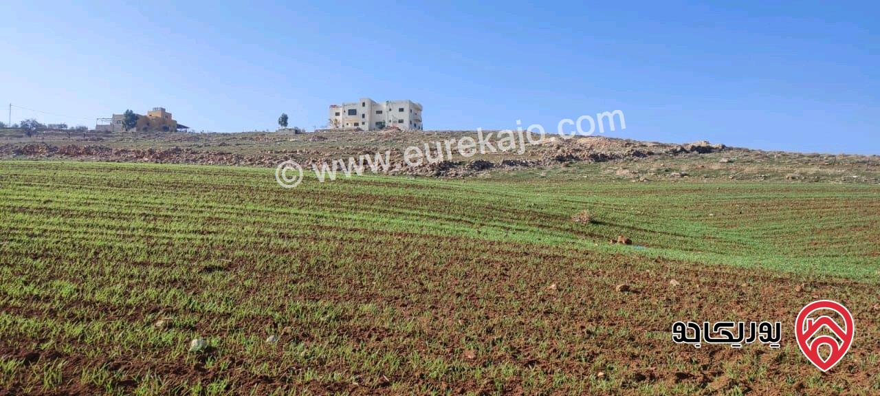 قطعة أرض مساحة 6 دونم و 280م للبيع في مادبا بجانب الجامعة الامريكية