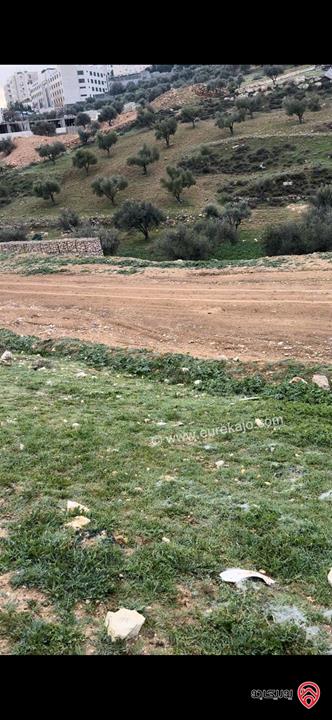 قطعة ارض مميزة مساحة 529م للبيع في عمان - الجبيهة شارع الاردن 