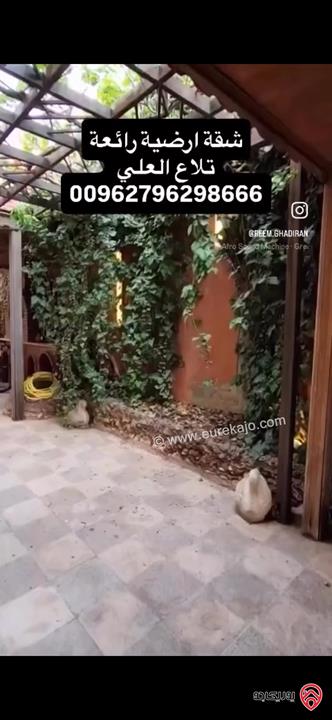 شقة ارضية مساحة 260م داخلي و 300م خارجي للبيع في عمان - تلاع العلي 