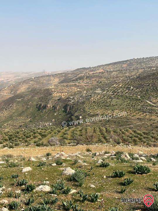 ارض زراعية مساحة 32 دونم للبيع في جرش - المسطبه