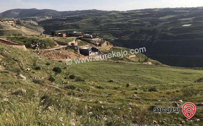 قطعة ارض تصلح لبناء شاليه مساحة 1 دونم و 483م للبيع في جرش