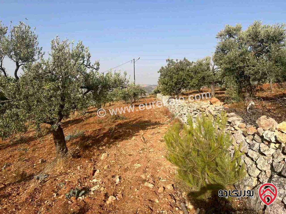 قطعة أرض ريفية مساحة 7 دونم للبيع في في جرش سوف حوض بيدر الحمص 