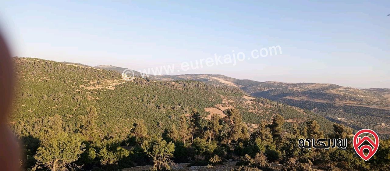 أرض مميزة مساحة 2 دونم للبيع في محافظة عجلون منطقة عنجرة / خربة الحنيش الأثرية 