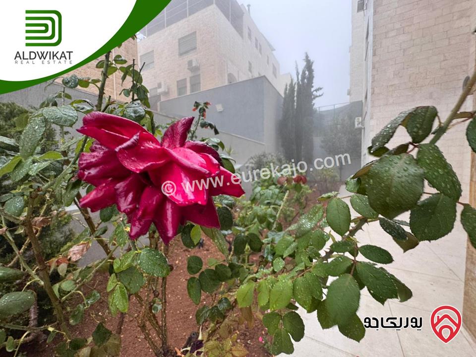 شقة فاخره ارضية للايجار في عمان - دير غبار مساحة البناء 280م ومساحة الحديقة 100م والترس 150م موقع مميز تصلح للسفارات والهيئات الدبلوماسية