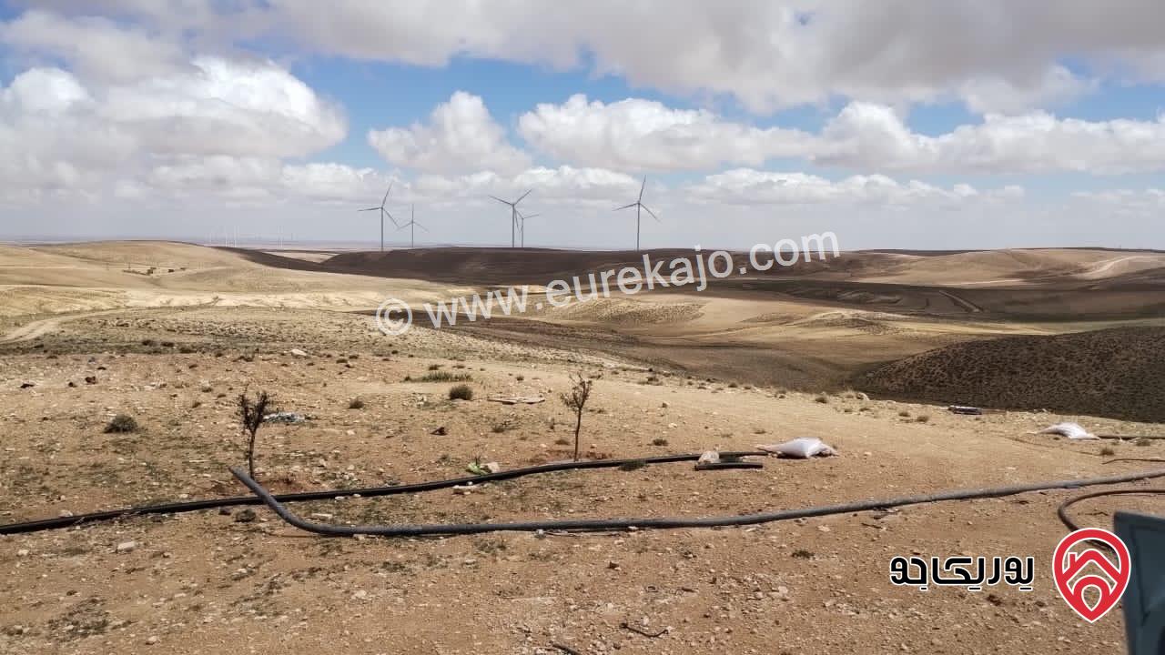 منزل مستقل مساحة 150م على أرض 1020م للايجار مفروش في الشوبك 