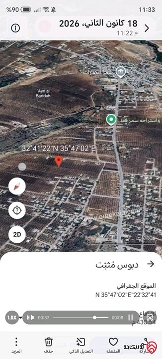 أرض مزروعة زيتون مساحة 19 دونم و 934م للبيع في اربد - سحم