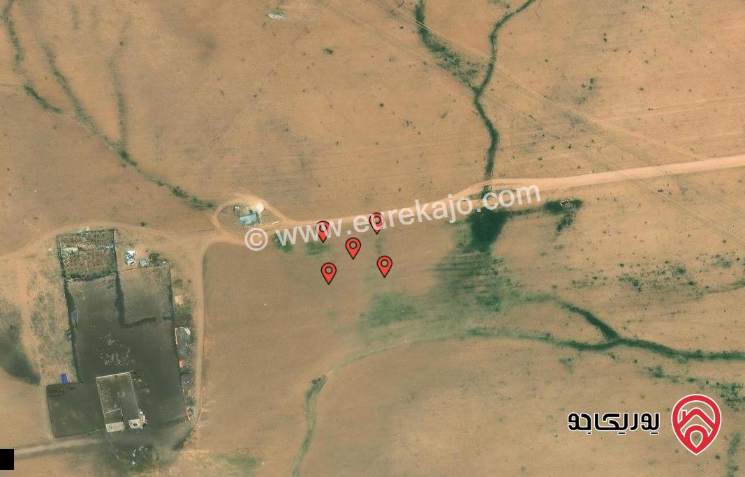 اربع قطع متجاورات مساحتهم معاً 1248م للبيع من اراضي جنوب عمان حوض الموارس
