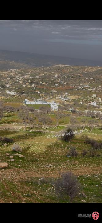 ارض مساحة 3 دونم و 750م للبيع في الزرقاء - العالوك