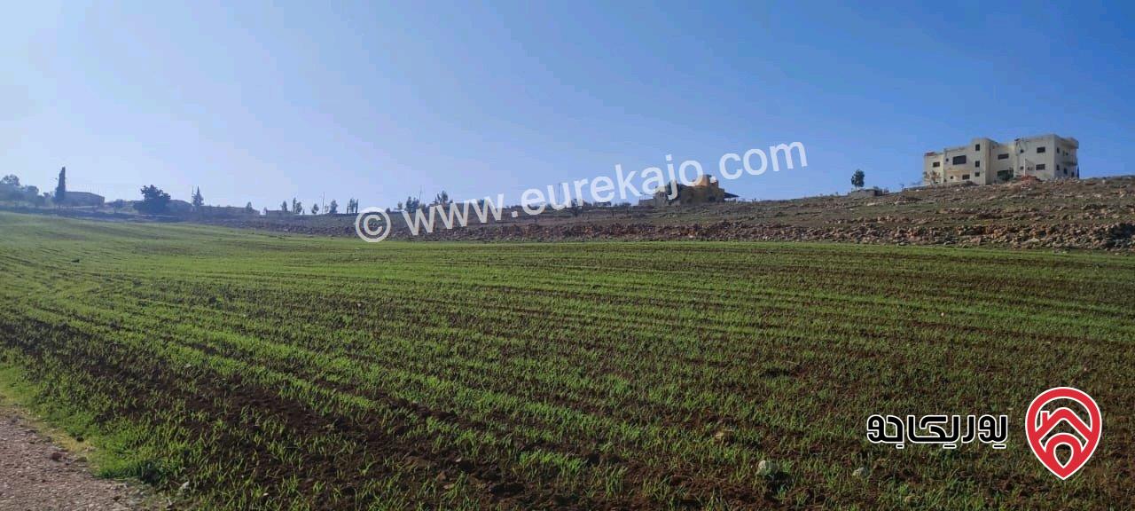 قطعة أرض مساحة 6 دونم و 280م للبيع في مادبا بجانب الجامعة الامريكية