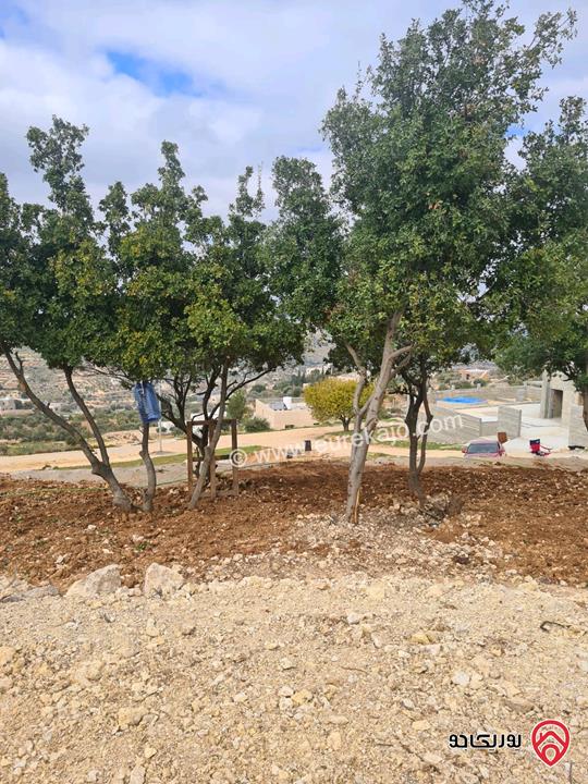 ارض مساحة 1 دونم للبيع في السلط - ام جوزة