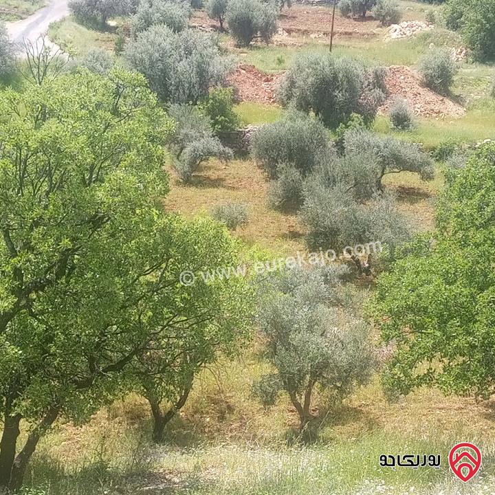 قطع أراضي من 700م - 2600م للبيع في عمان - بدر الجديده