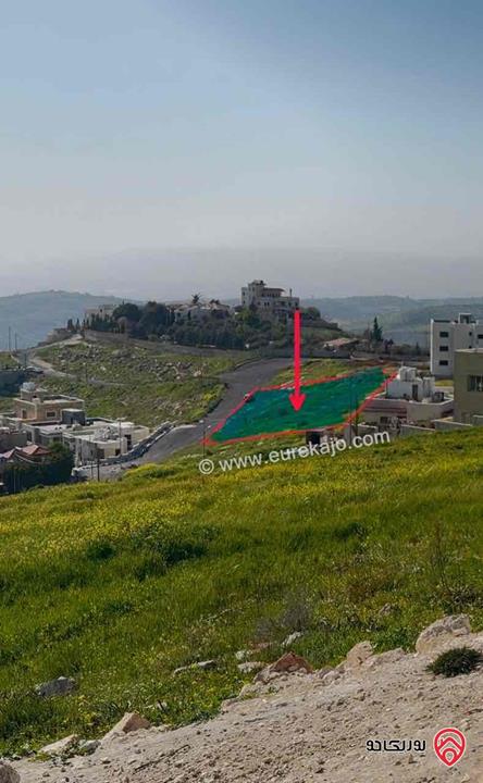 قطع أراضي عدد 4 متلاصقات للبيع من أراضي غرب عمان - ابو السوس