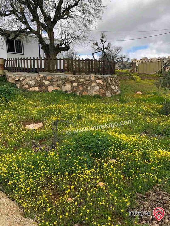 مزرعة مساحة دونم للبيع في الزرقاء - صروت 