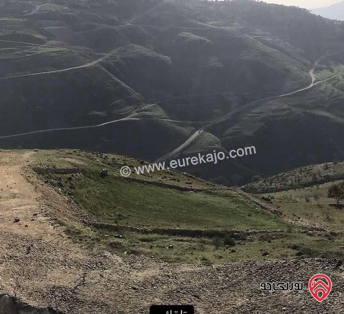 قطعة ارض تصلح لبناء شاليه مساحة 1 دونم و 483م للبيع في جرش