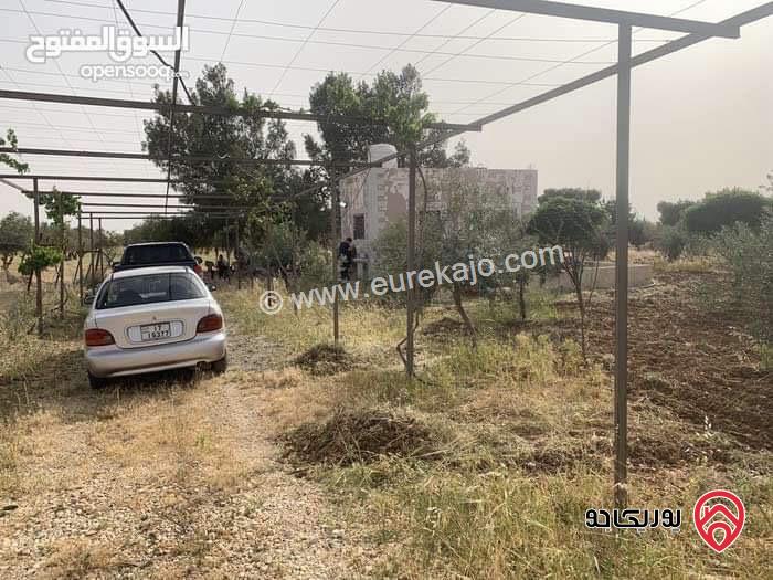 أرض مساحة 3 دونم و 500م للبيع في مادبا - جبيل الغربي