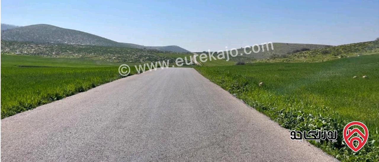 أرض مساحة 500م للبيع في اربد