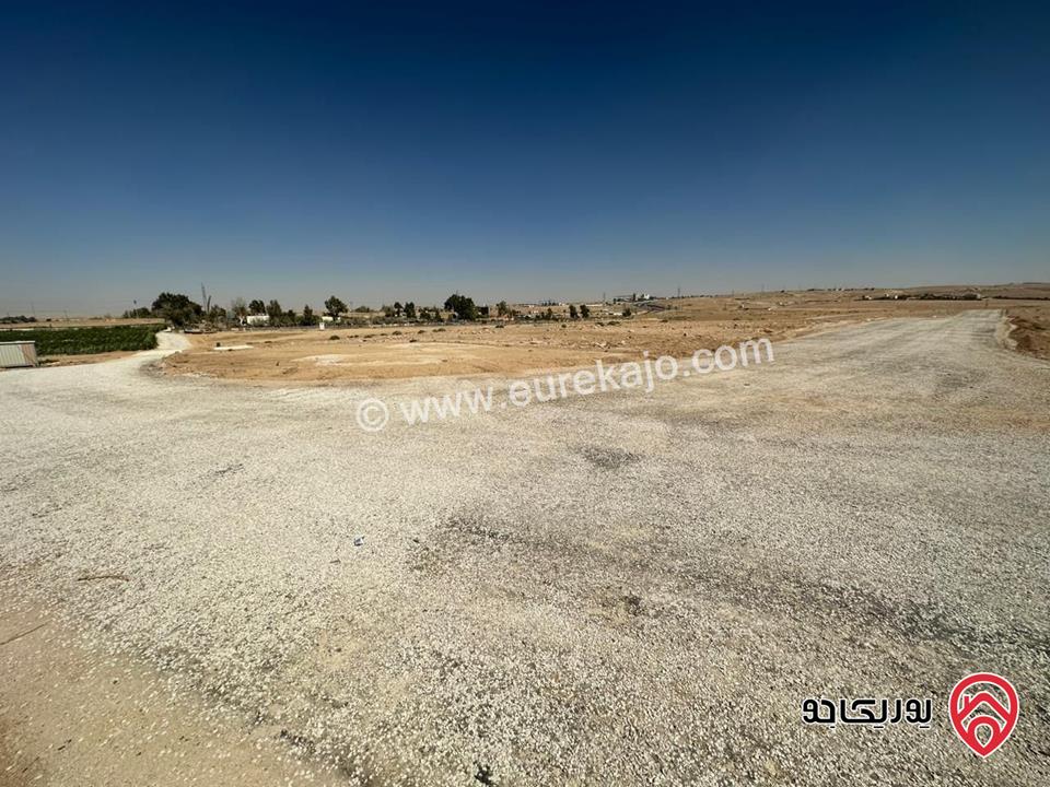 ارض مفروزة مساحة 4500م للبيع في عمان - الجيزة