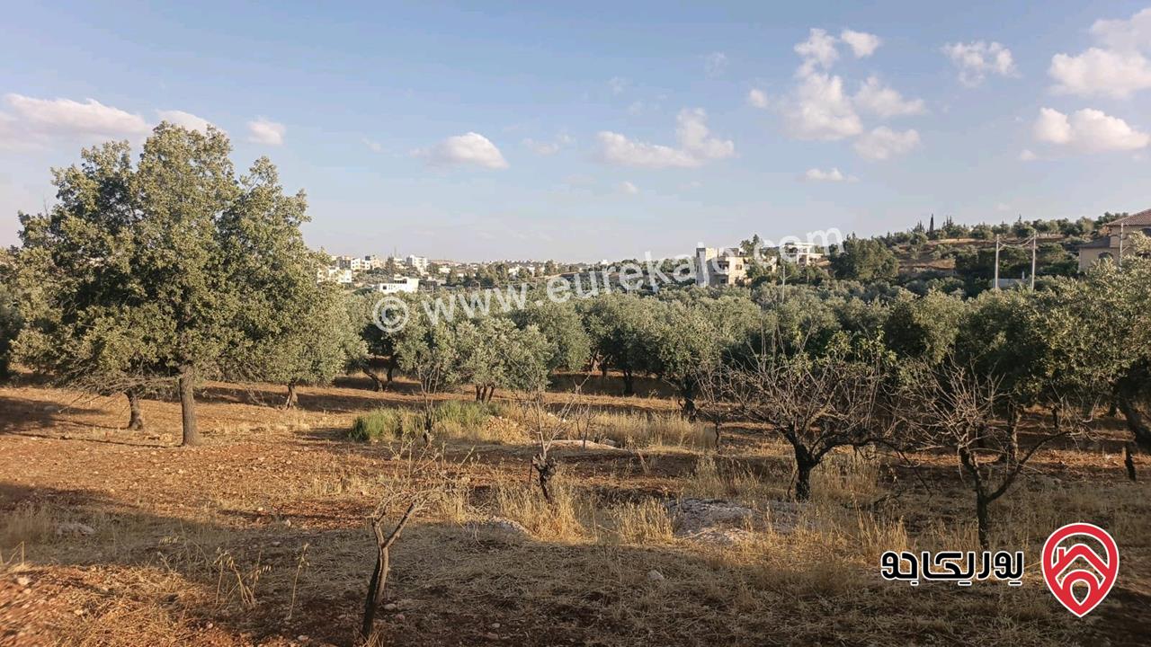قطع اراضي سكنية مساحة 750م للبيع في عمان - ناعور من ضمن مشروع ابو الغزلان 3 