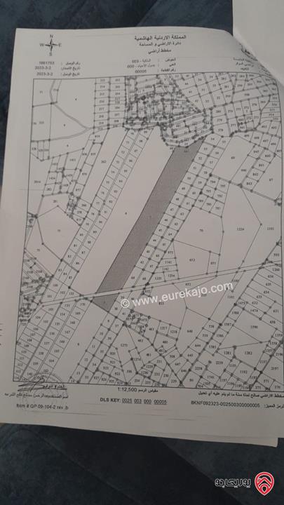 قطعة ارض مساحة 319 دونم للبيع من أراضي الموقر - الكتيفه