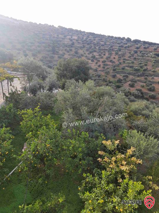 مزرعة زيتون مساحة الأرض 8 دونم و 588م و البناء مساحة 100م للبيع في السلط