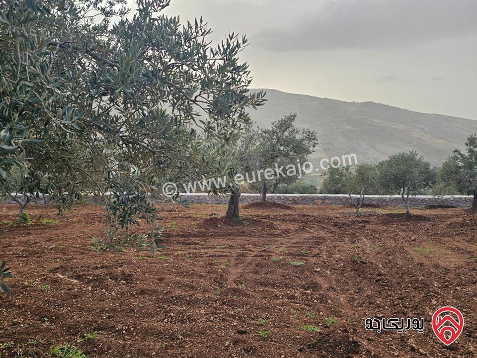 أرض مساحة 3464م للبيع في السلط – الصبيحي