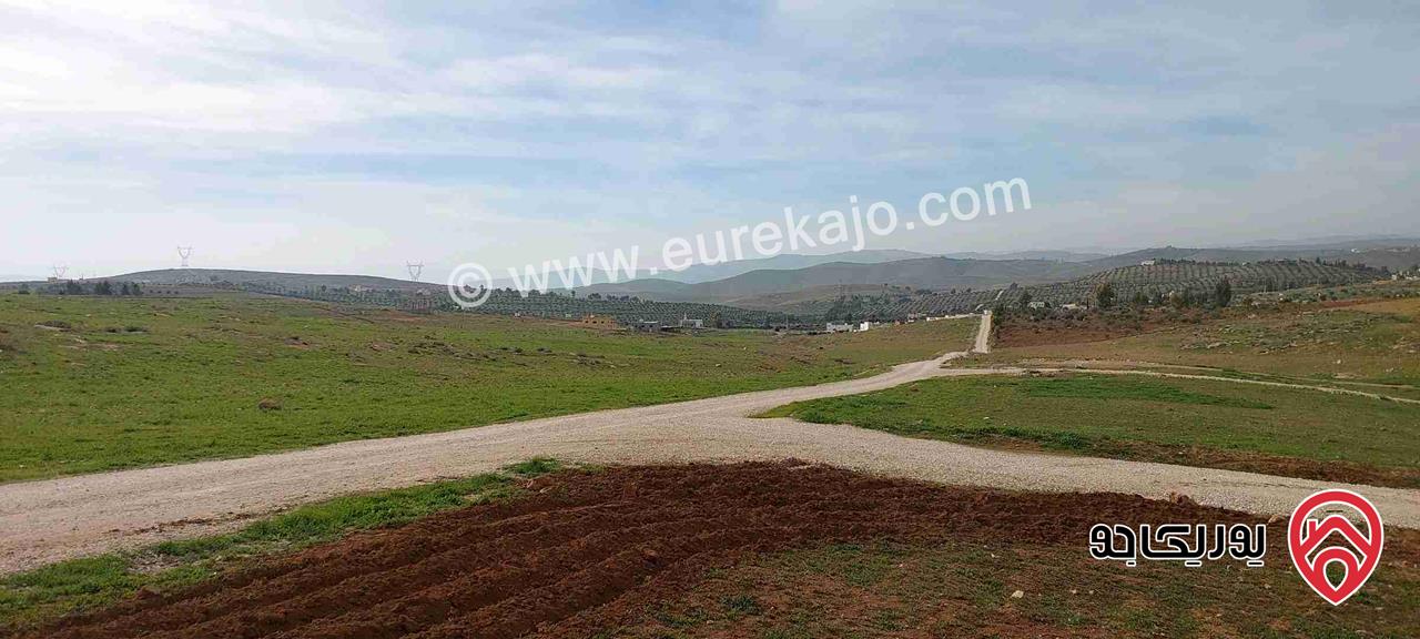 أرض زراعية مساحة 4018م للبيع في المفرق - منطقة بلعما 