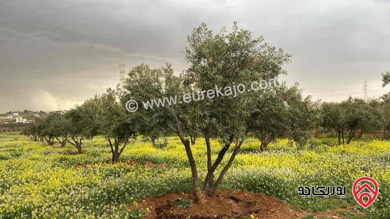 أرض مساحة 4 دونم و 370م للبيع في عمان - قرية سالم 